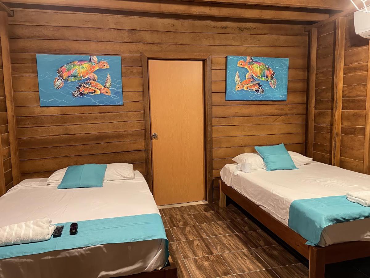 דירות אל קויו Cabana Tortuga A Unos Pasos De La Playa מראה חיצוני תמונה